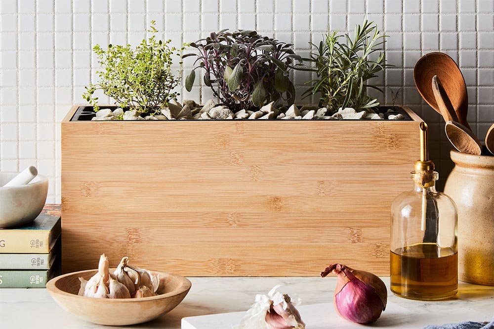 Grow A Salad Anywhere In Your House With These Indoor Smart Gardens